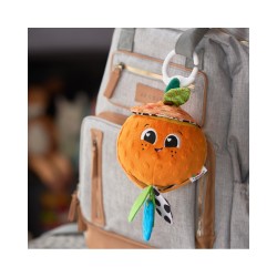 můj první pomeranč